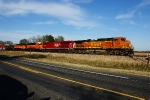 BNSF 5000, CP 8730, BNSF 1793, 1903